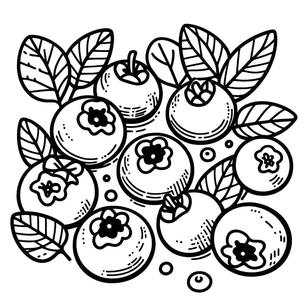 Yaban mersini çizimi temel Boyama Sayfası