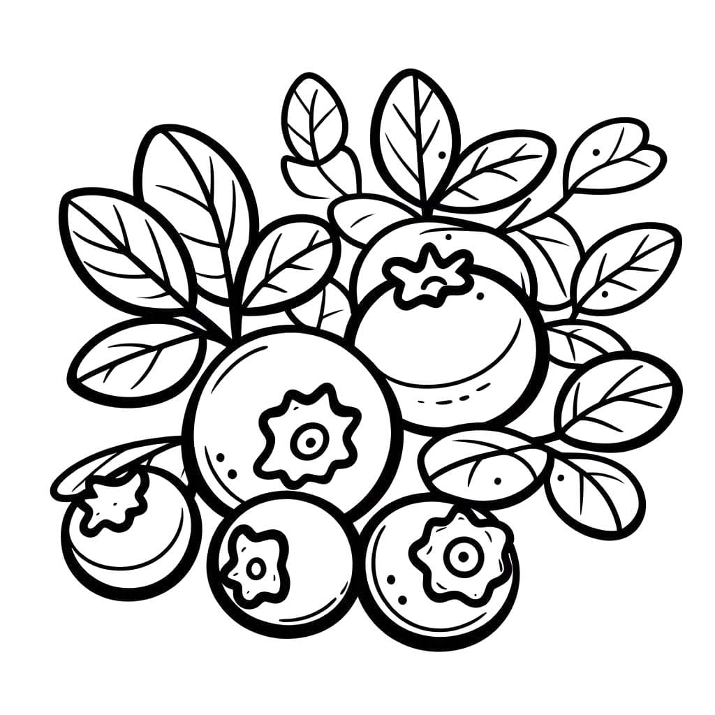 Yaban mersini çizimi ücretsiz yazdırılabilir Boyama Sayfası