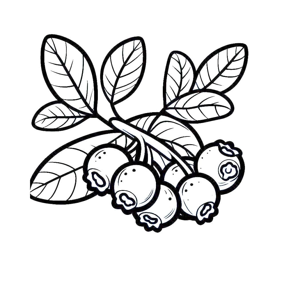 Yaban mersini çizimi yazdırılabilir Boyama Sayfası