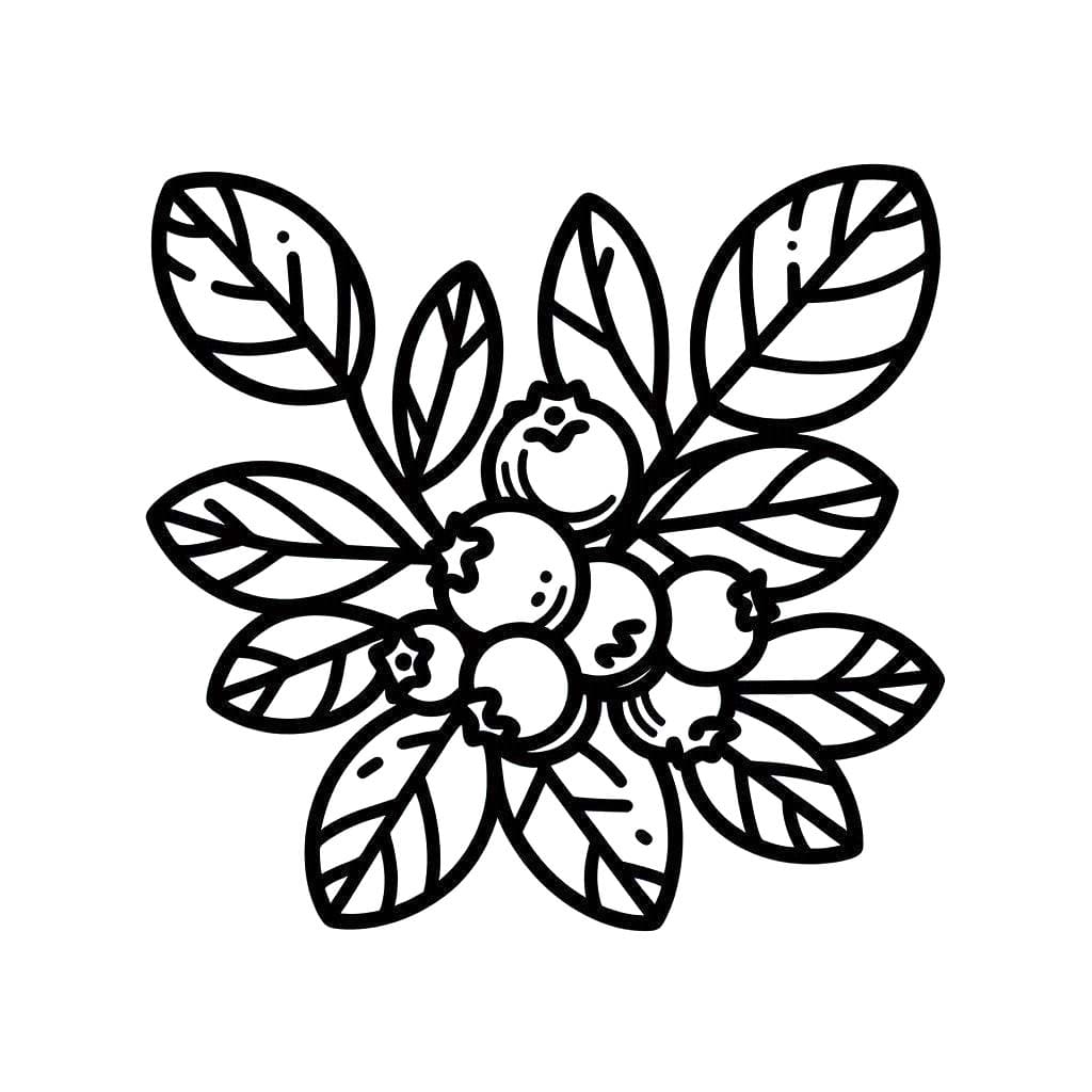 Yaban mersini çok iyi Boyama Sayfası