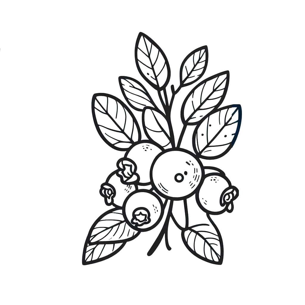 Yaban mersini iyi Boyama Sayfası