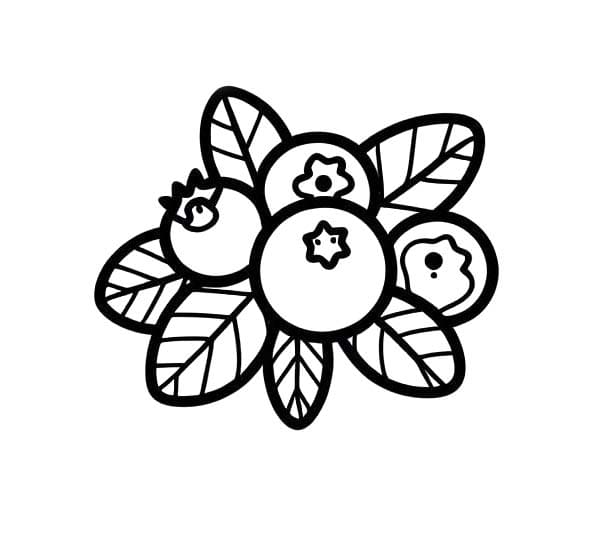 Yaban mersini resmi çiz Boyama Sayfası