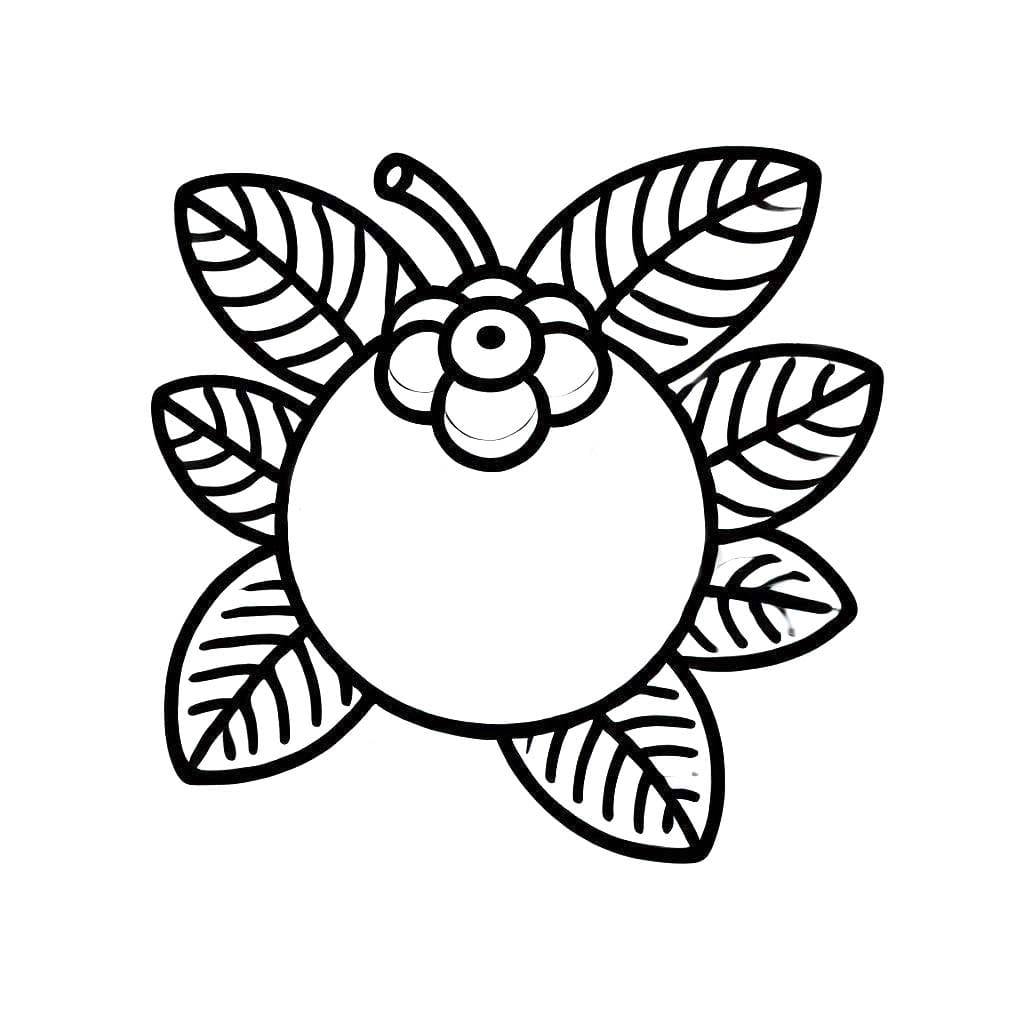 Yaban mersini resmi Boyama Sayfası