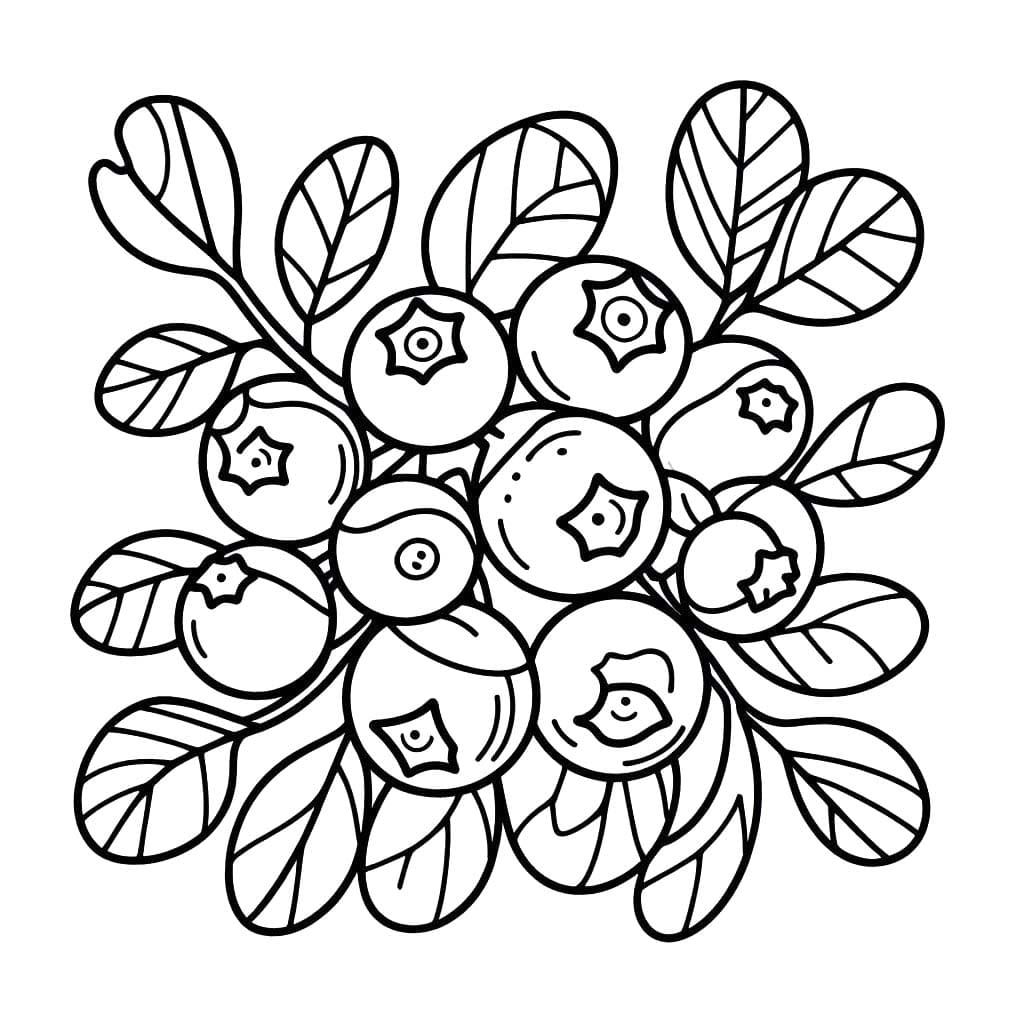 Yaban mersini ücretsiz Boyama Sayfası