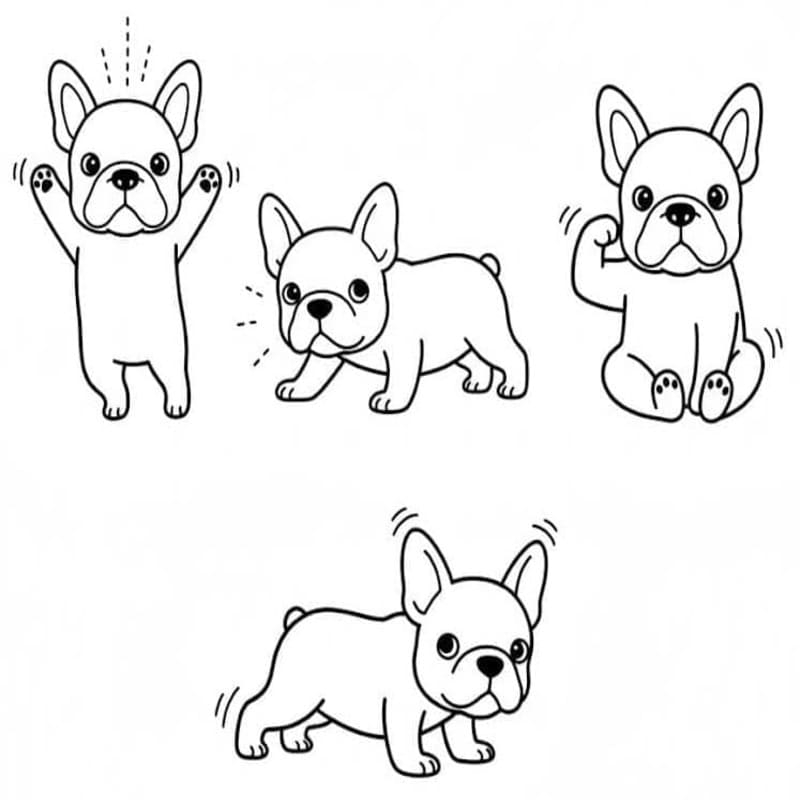 Yazdırılabilir Fransız Bulldog resim Boyama Sayfası