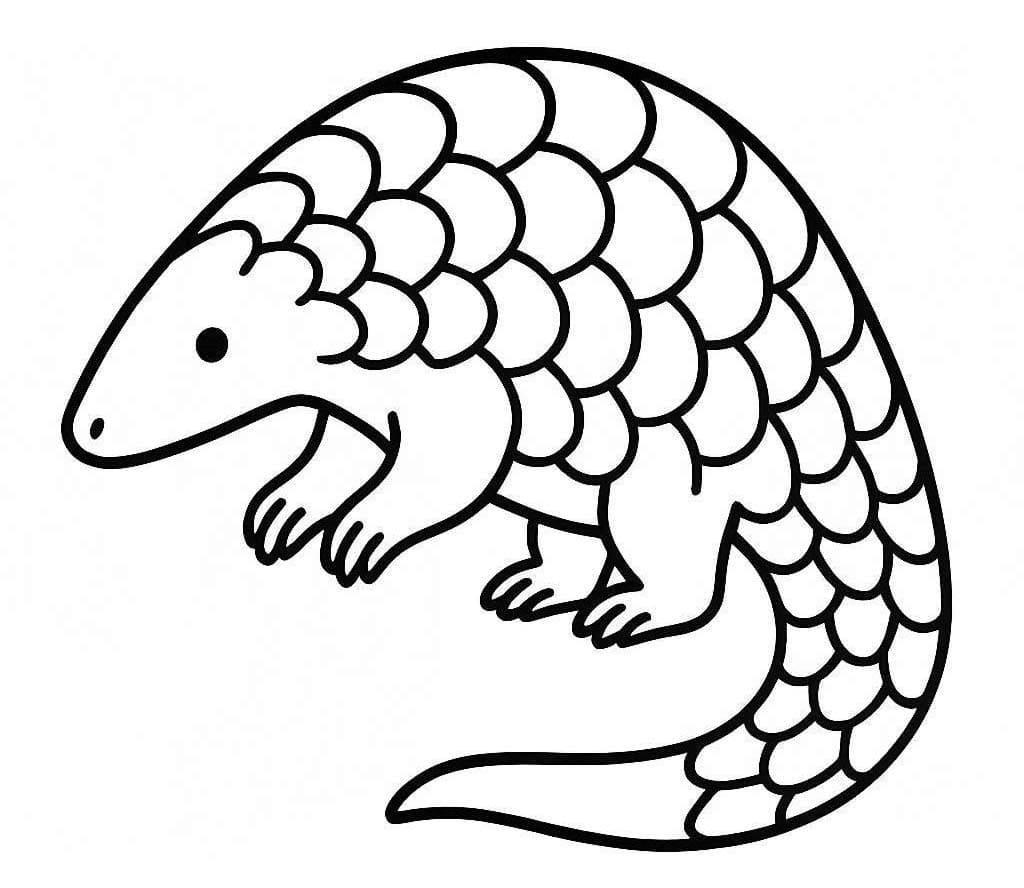 Yazdırılabilir Pangolin Çizim Boyama Sayfası