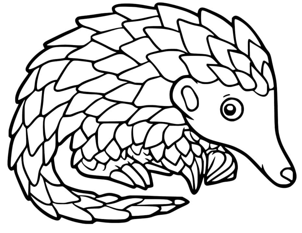 Yazdırılabilir Pangolin Boyama Sayfası