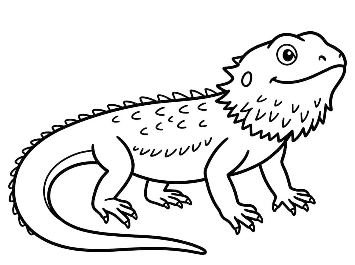 Yazdırılabilir Sakallı Ejderha resim Boyama Sayfası