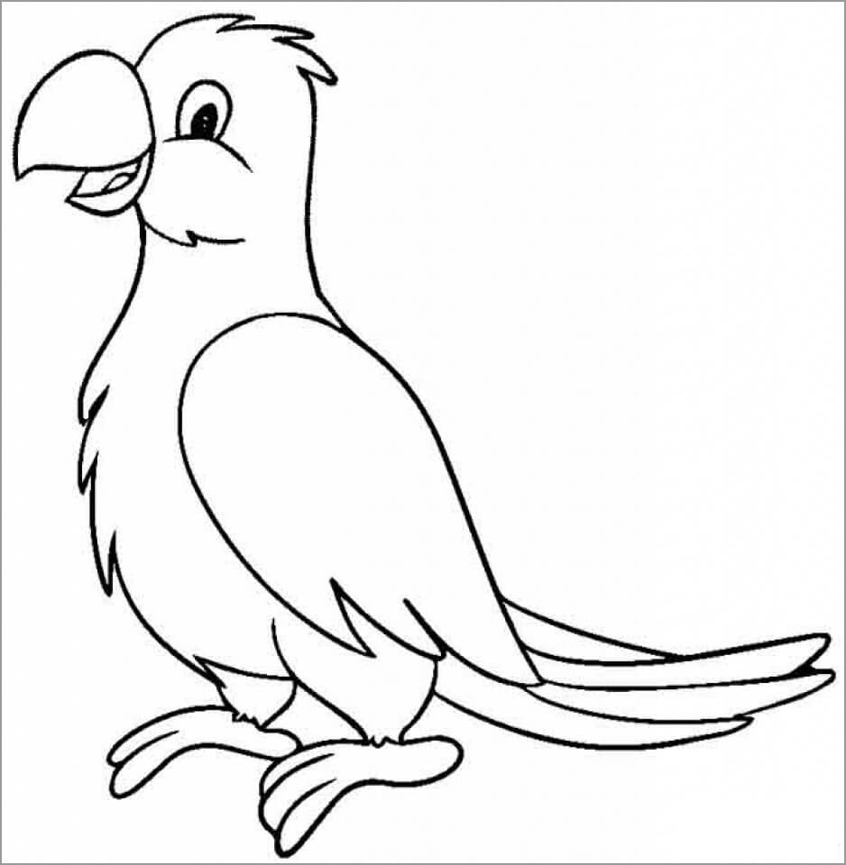 Хвост попугая раскраска